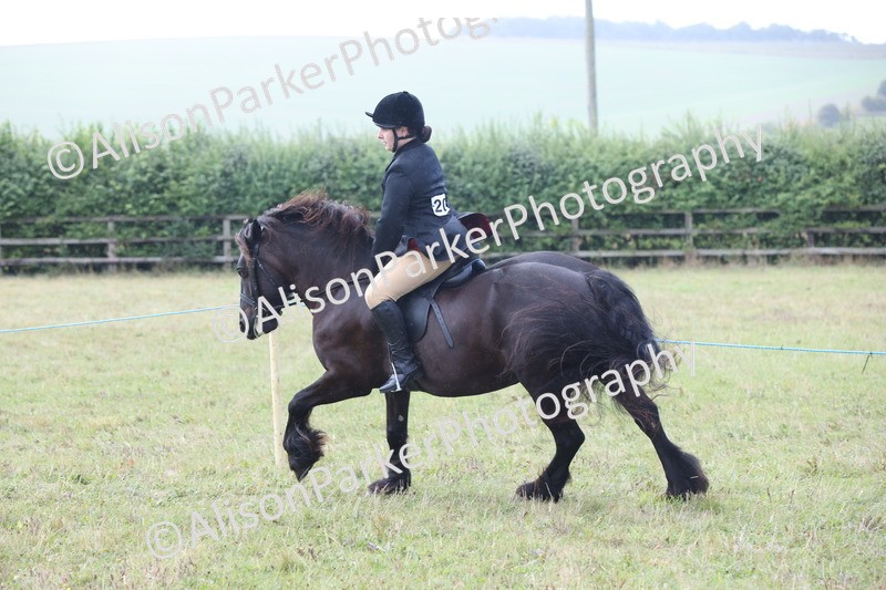 20250831-2428 - Class 16 - Family Pony