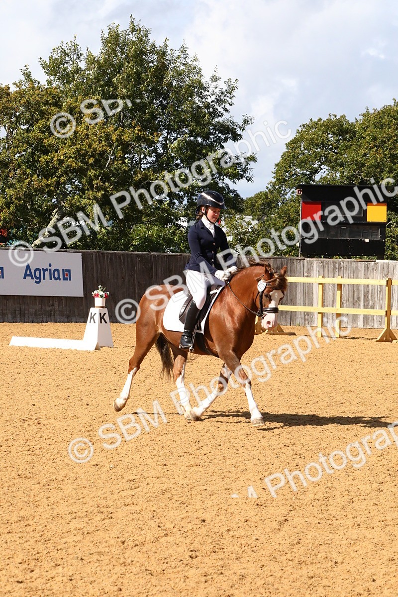 SBM_23497 - D5 - Small Tour Championshop Intro 2