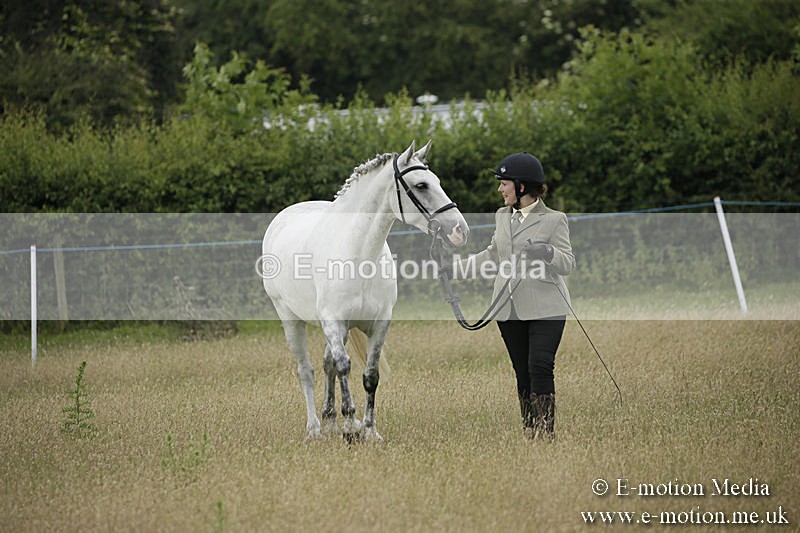 B230619-0244 - Bourne Valley Riding Club Summer Show 23/06/19
