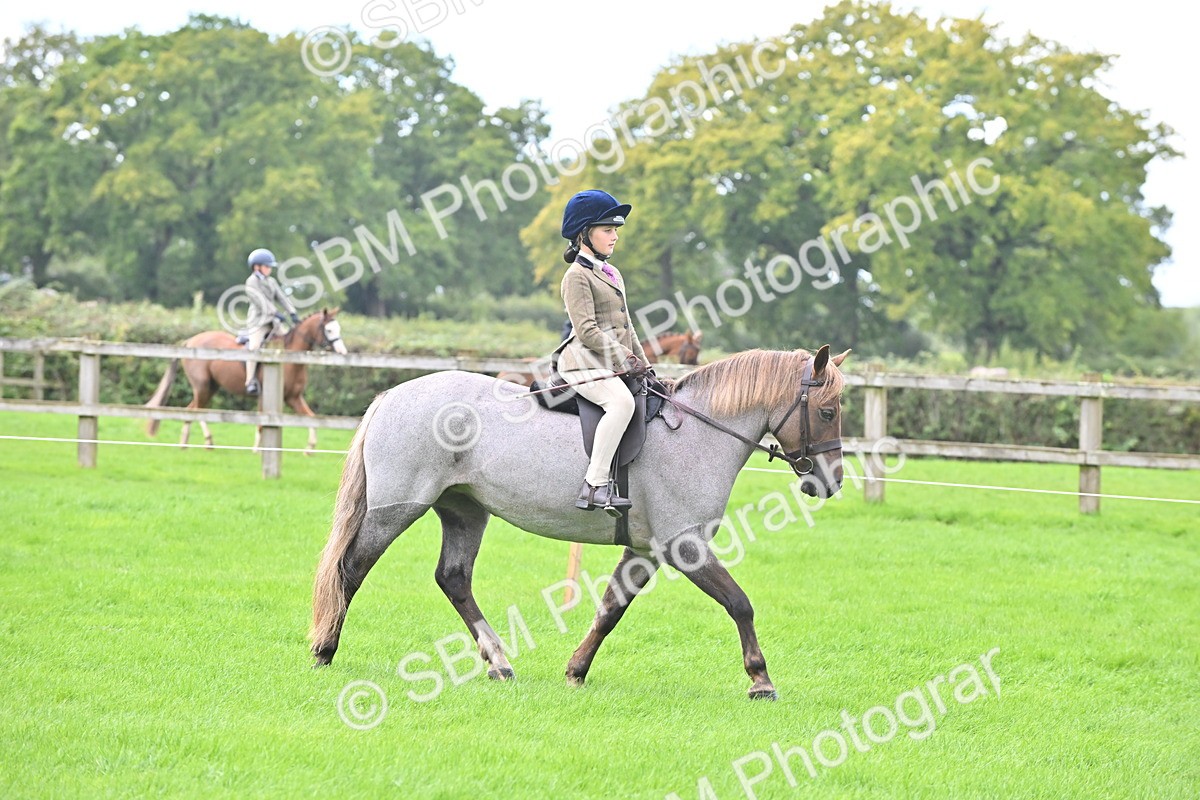 SBM_44463 - S13 - Pony Club Pony