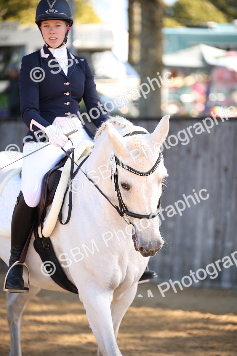 SBM_18538 - D31 - Grand Tour - PYO Open