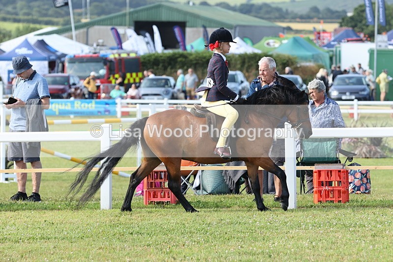 JPP_0539 - Class 15: Cornish Combination First Ridden