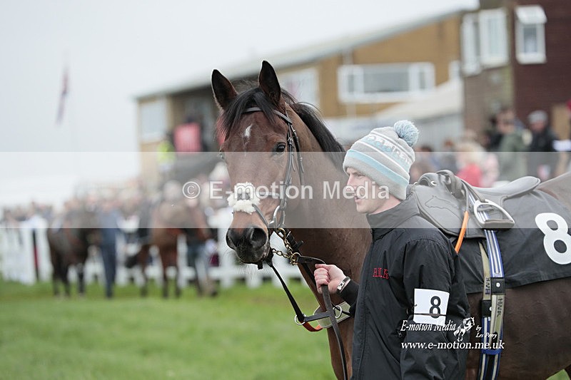 PtP 271122 202 - Hursley Hambledon Hunt Point-to-Point - Larkhill - 27/11/22