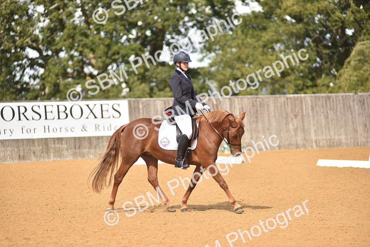 SBM_03054 - D4 - Small Tour Championship Intro 4