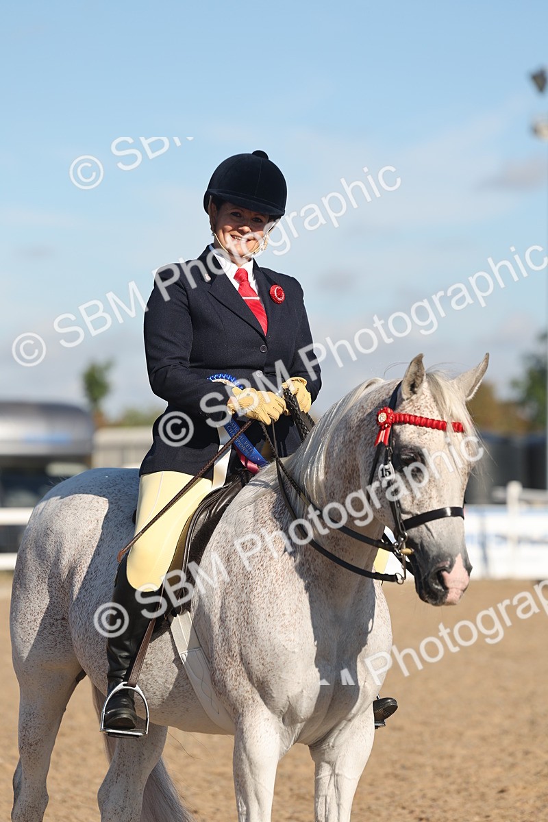 SBM_12254 - Class 303 - Ridden Pure Bred Horse Pony