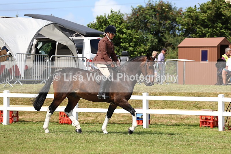 3E7A9954 - Class 5: Rising Star Lightweight/Heavyweight Cobs