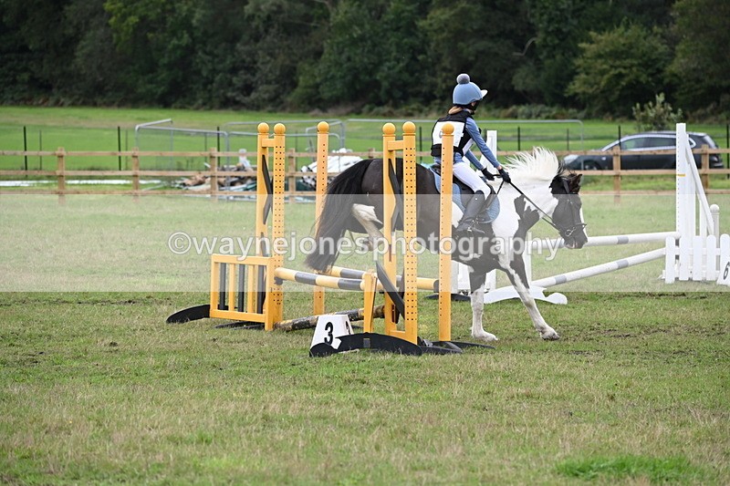 WJ6_1895 - 60cm Time 12:30 to 12:49