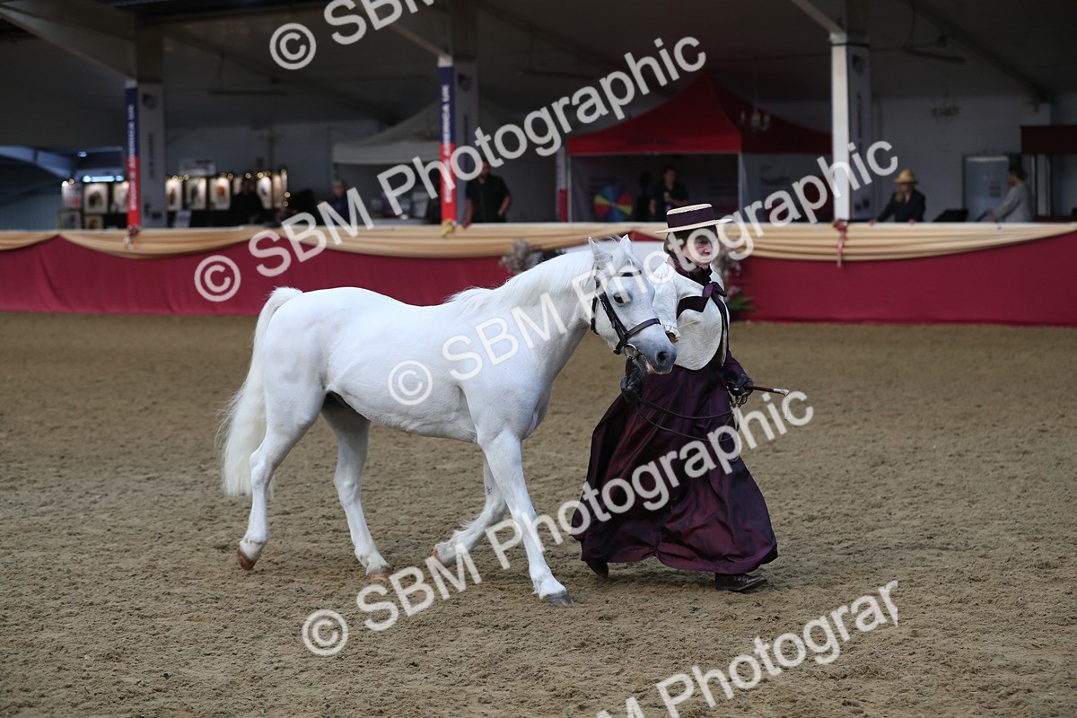 SBM_10817 - Class 103 IH Costume