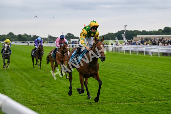 120724-Race 3-Royalty Bay-5986 - Race 3 3.15pm William Hill Keep Your Raceday Positive Irish EBF Fillies' Novice Stakes