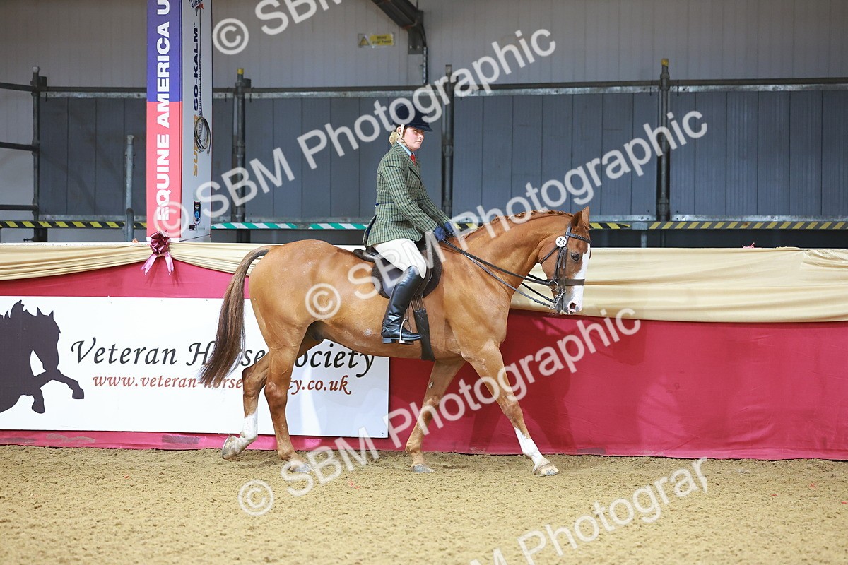 SBM_07539 - Class 101 - HOYS Veteran Qualifier - Ridden Diamond