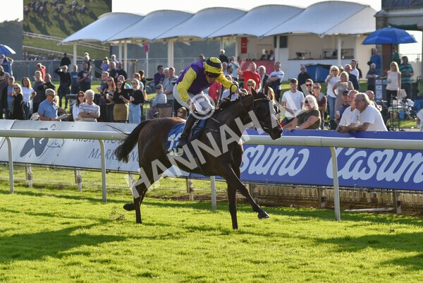 yr08102021r5-19 - Race 5 4.20pm Copper Knight - Winning Most Horse At York Handicap