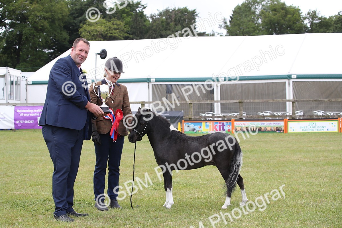 SBM_03565 - Class 23-25 - British Miniature Horse of the Year