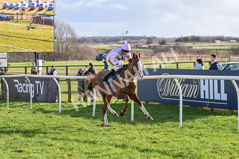 250225-Race 2-Treaty Boy-7862 - Race 2