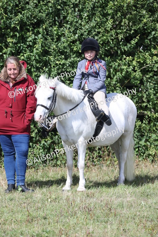 20250831-2516 - Class 16 - Family Pony