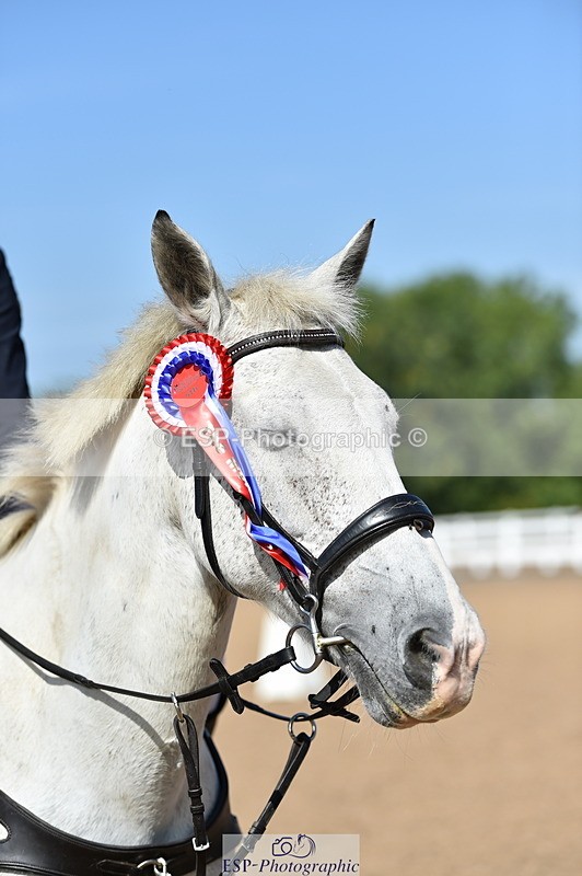 230903A-113734-04241 - Cls 18 Pony Brit Novice & 80cm Open