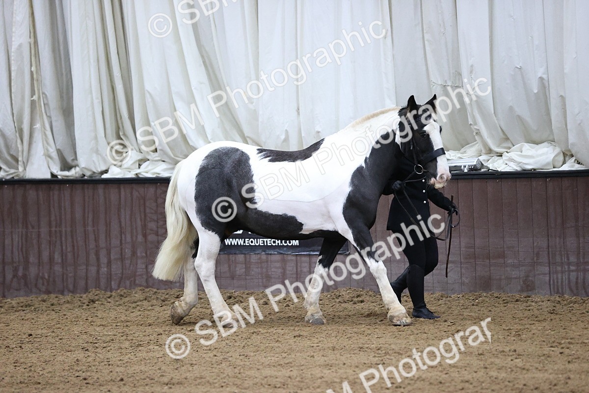 SBM_5243 - Class 32 - In Hand Cob Type