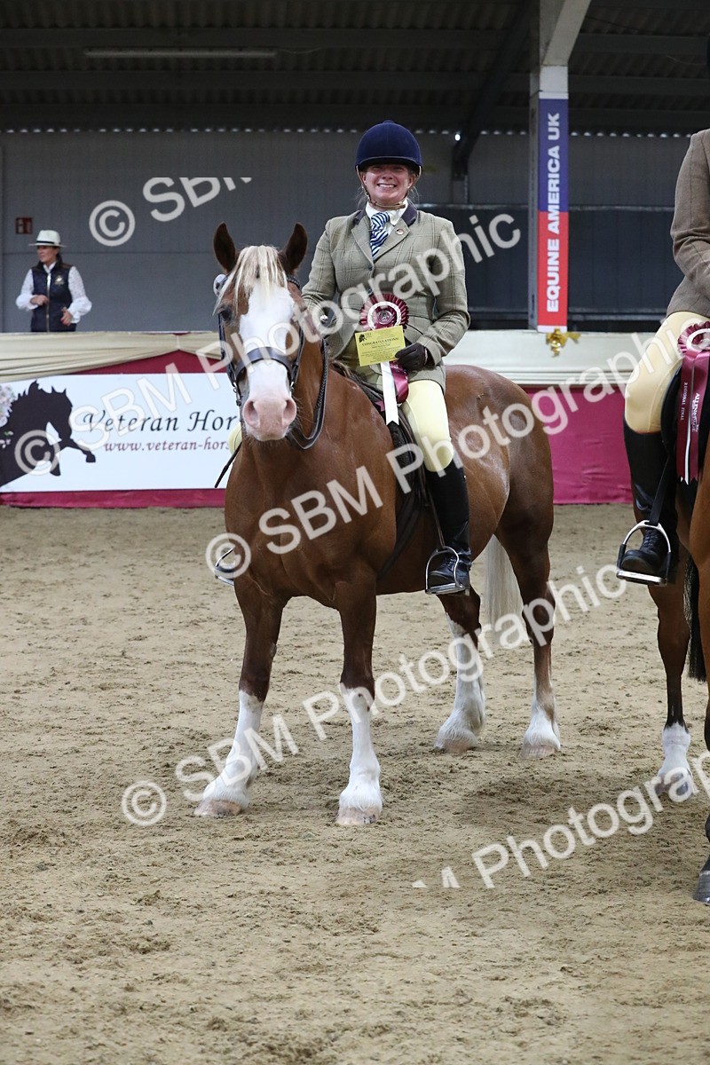 SBM_08480 - Class 11R Regional Ridden Veteran