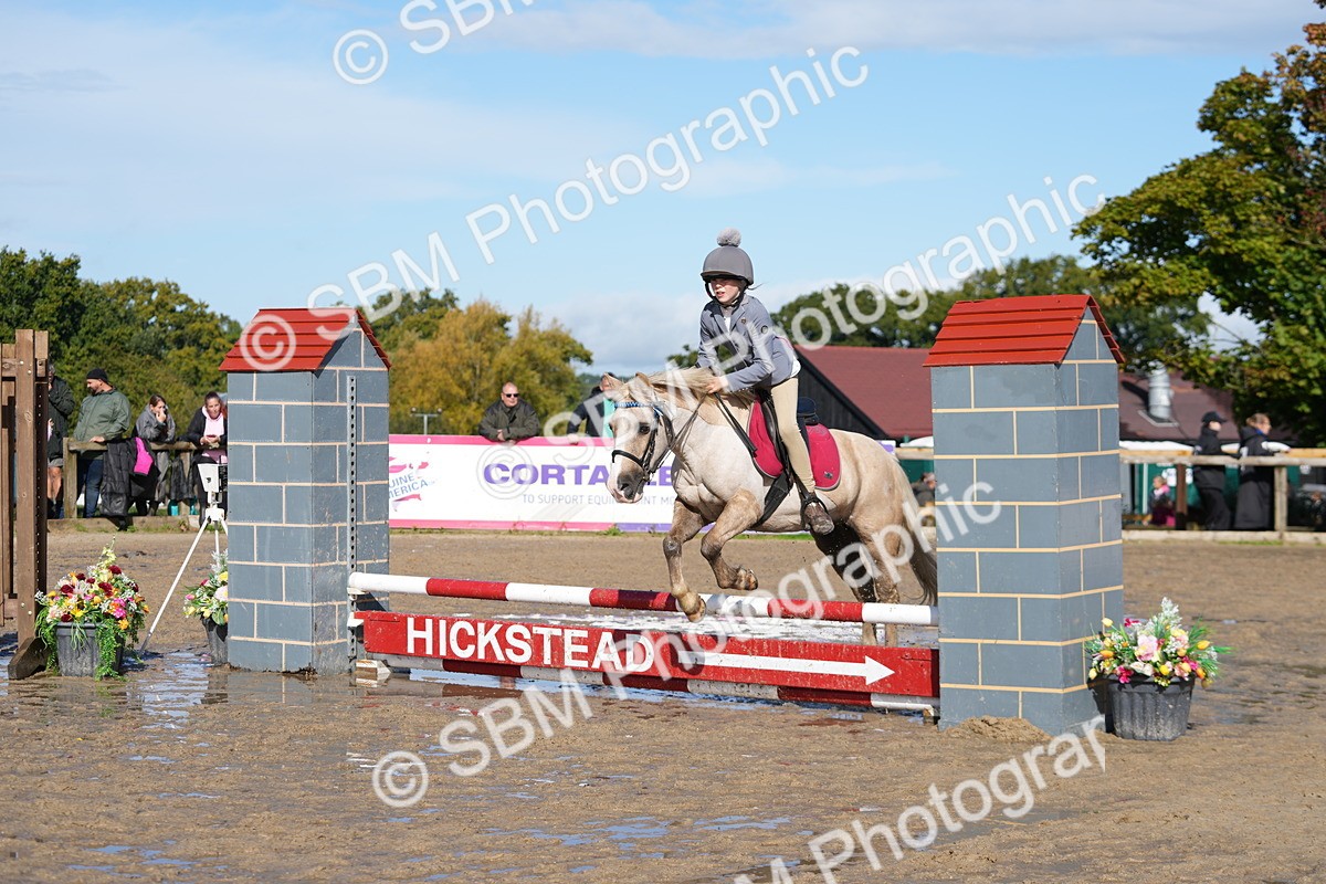 SBM_38300 - J6 - Junior Pony 55cm Championship