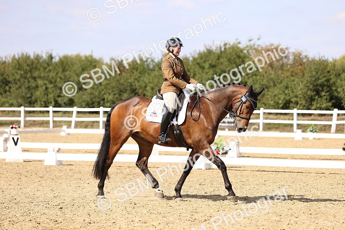 SBM_015120 - Class 6 - Elementary 5