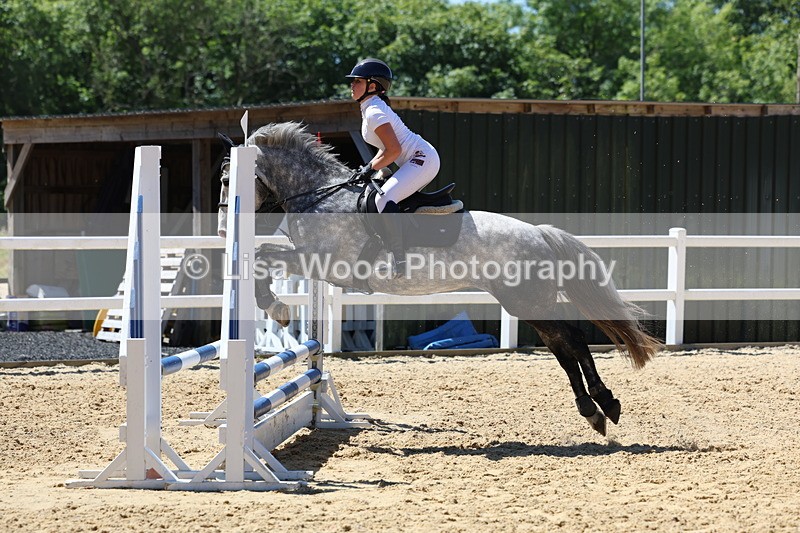 3E7A2483 - Class 4/5: 60cm Open Teams and Individuals