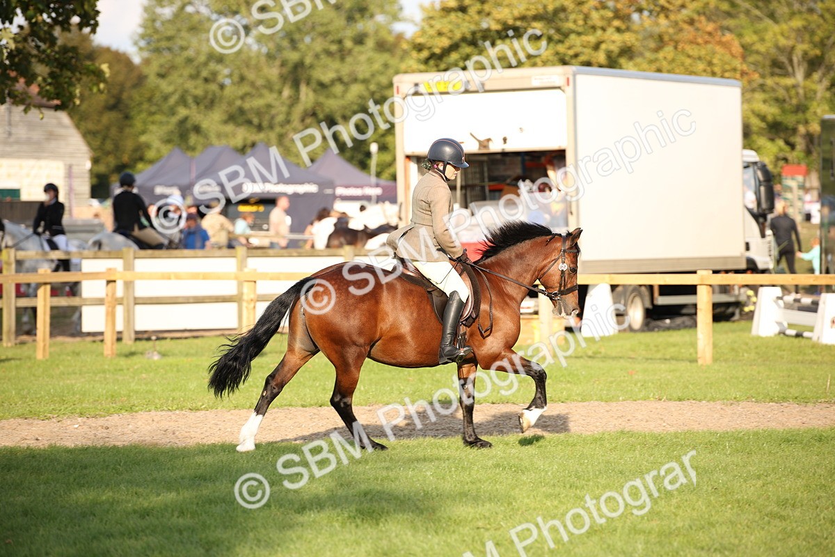 SBM_54324 - S27 - Mature Veteran - Ridden