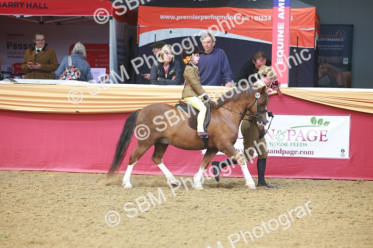 SBM_12493 - Class 103 - HOYS Veteran Qualifier - Ridden Pre Vet