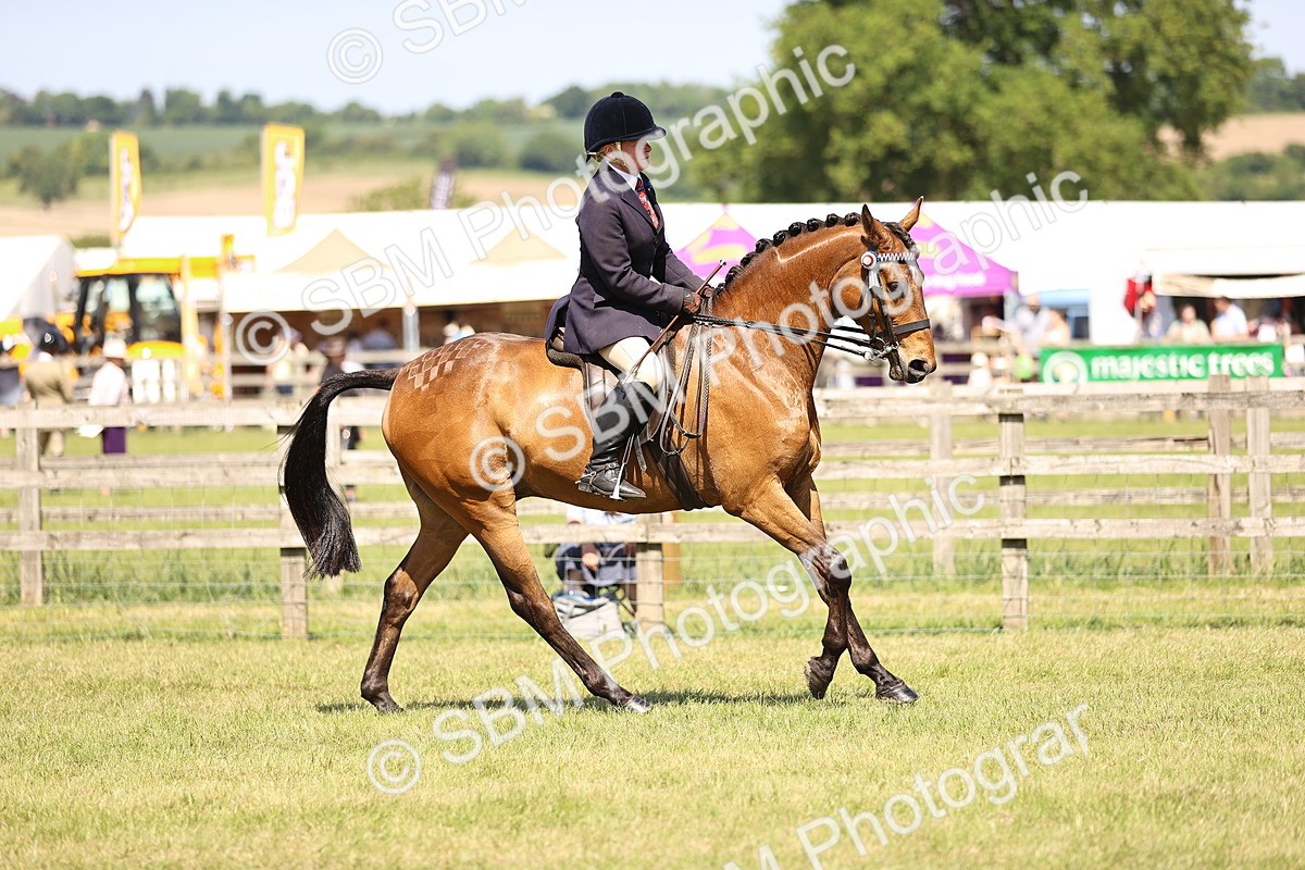 SBM_18029 - Class 81-83 - TSR Ridden Amateur of the Year - Horses