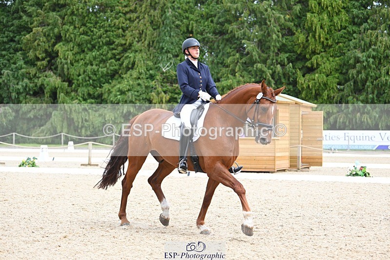 230813-135510-07646 - Cls 13 Medium Bronze 13.15 to End