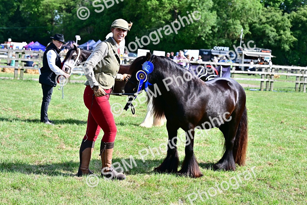 SBM_09513 - Class 63-65 - Traditional Gypsy Cobs In Hand & Ridden