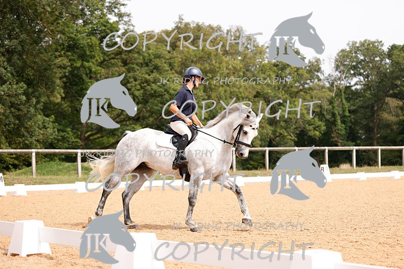 _R6A2781 - Dressage Morning