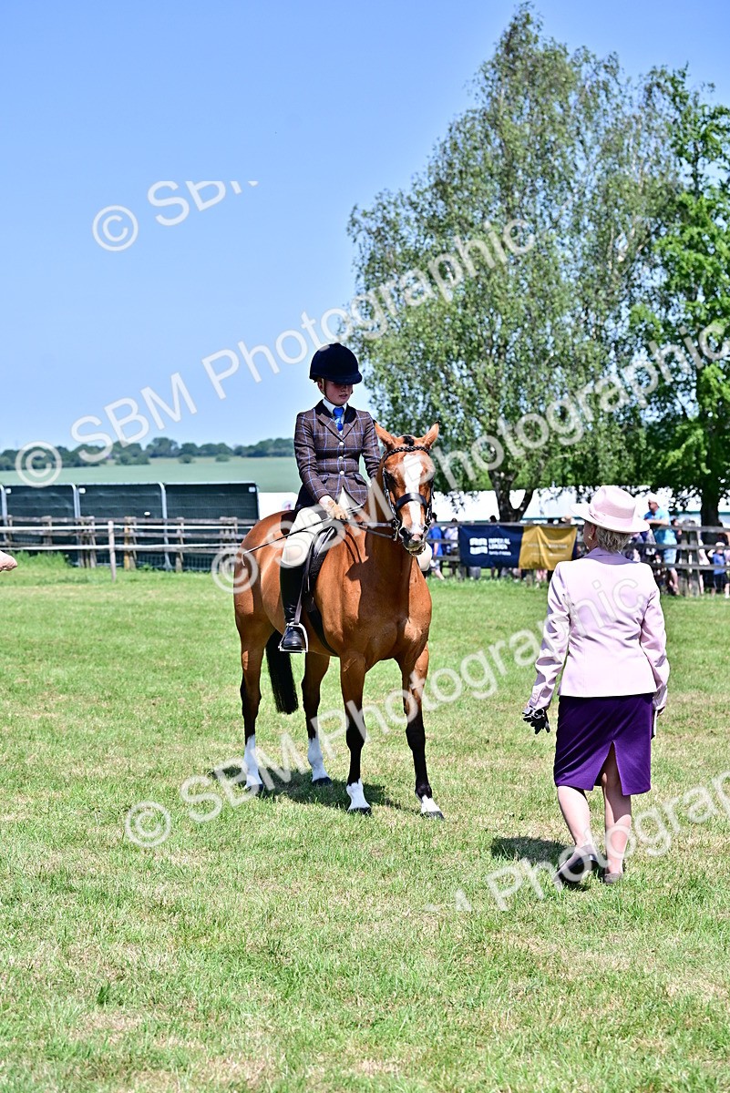 SBM_15352 - Class 95-97 - BSPS LHS Performance Ponies