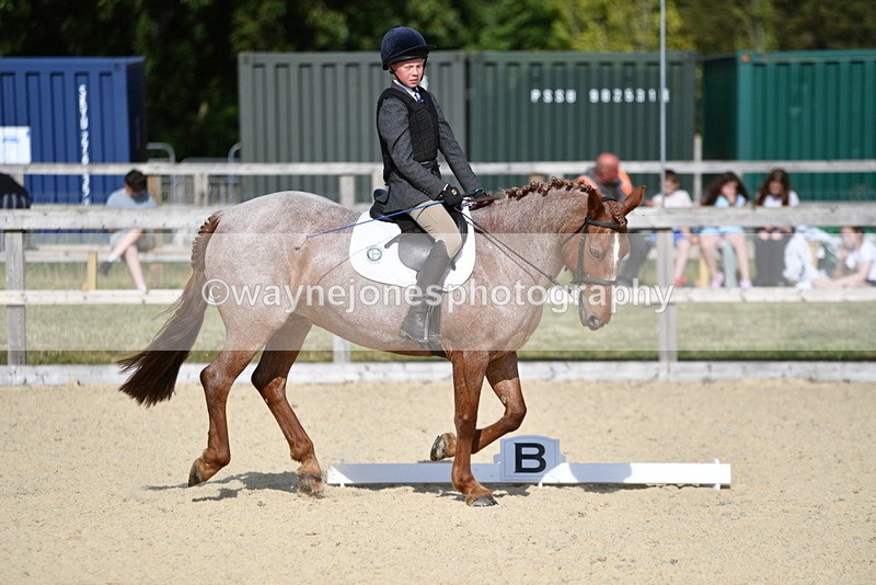 WJ5_8018 - Time 16:56 to 17:14