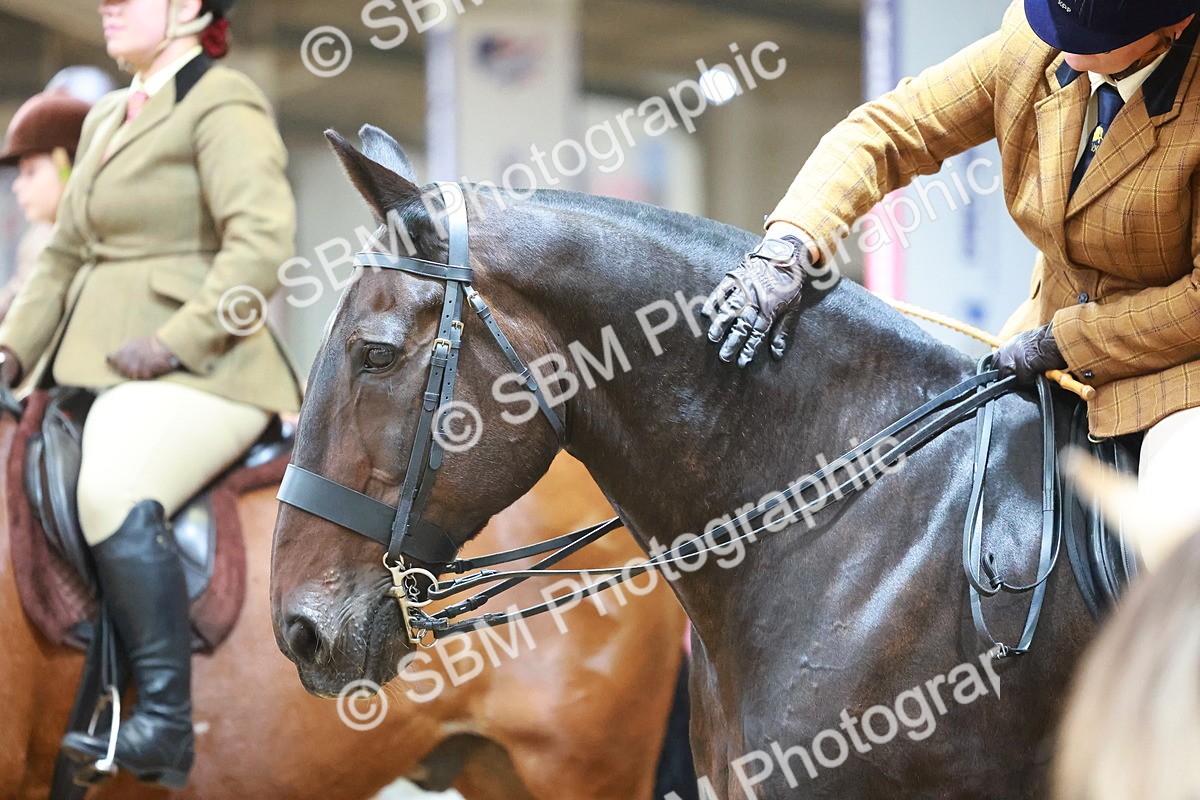 SBM_09471 - Class 102 - HOYS Veteran Qualifier - Ridden Veteran