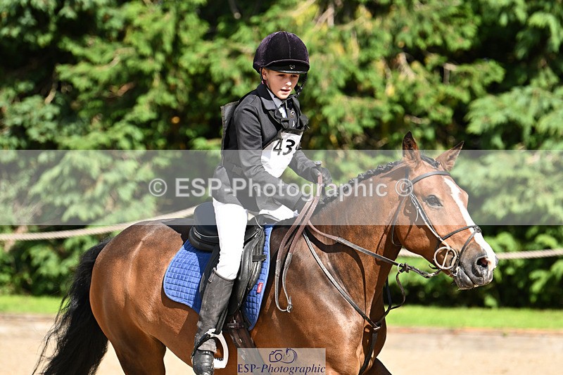 240824X-153758-29710 - 80cm Round 2 15.30 to 16.50