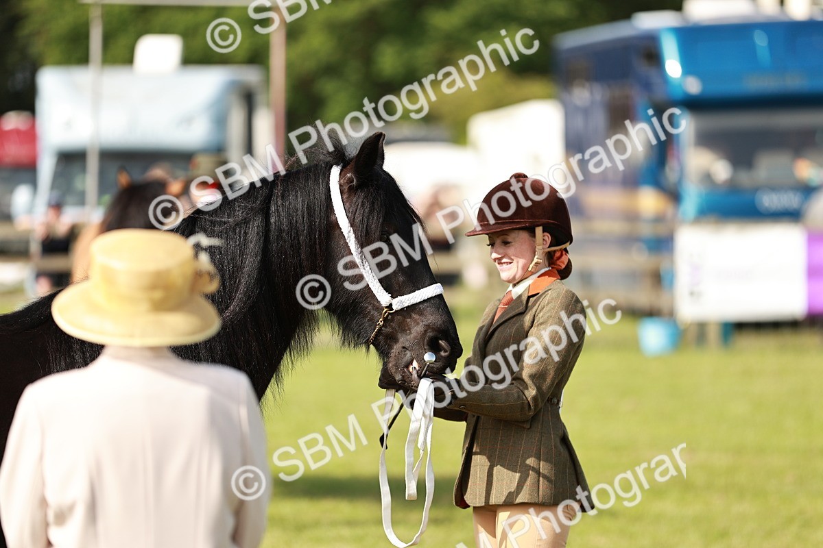 SBM_00840 - Class 14-23 - Mountain & Moorland In Hand Non Welsh