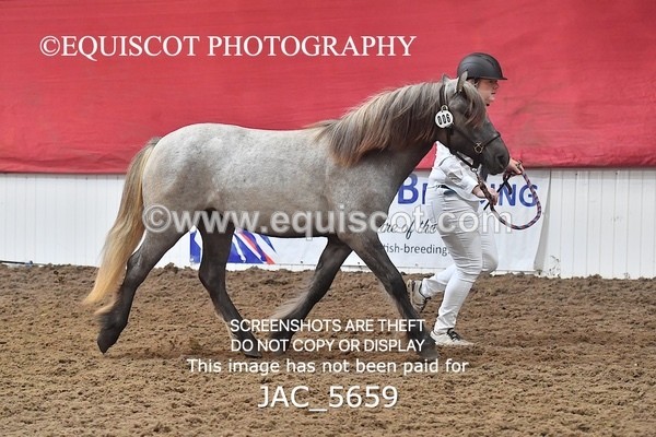 JAC_5659 - 6 Glenmuir Niamh