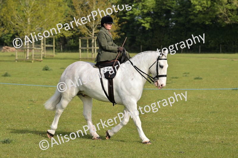 20260426-0862 - Class 18 - Novice Showing