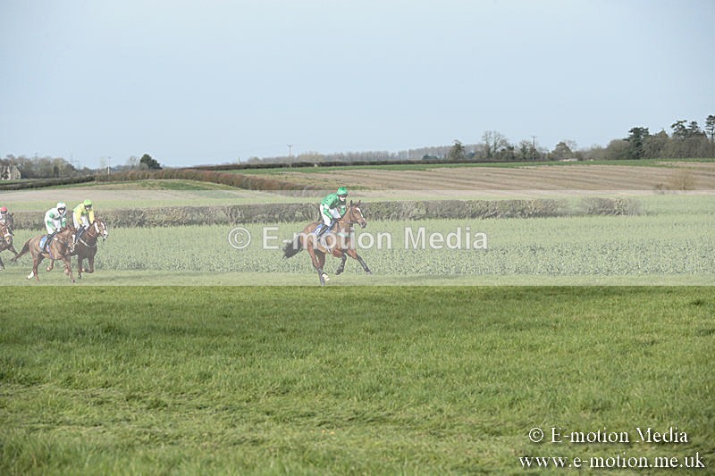 PtP 230319 458 - VWH Hunt Siddington Point-to-Point Racing 23/03/19
