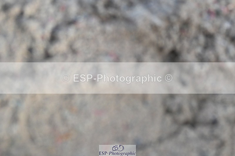 250125-111045-00286 - Dressage - CT Class 5 BE95 (90cm)