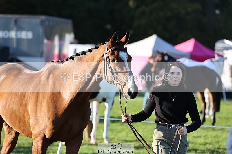 241027-084013-14733 - 383-Kirstin.Elisa.Evans-MONTY.GUIRY