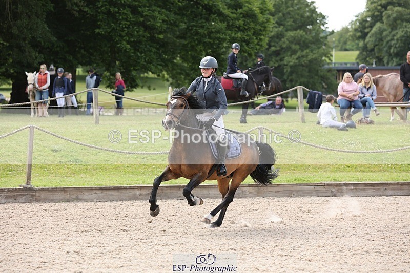 240616-161702-05227 - 80cm 3.30 to End