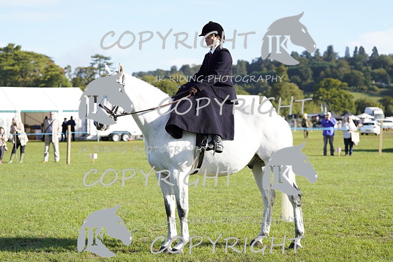 _DSC9459 - Class 8 & 17 Ridden Hunter & Ridden Hunter Pony