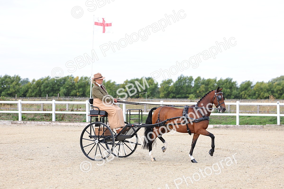 SBM_000236 - Class 2 - Exercise Vehicle 13.2hh & Under