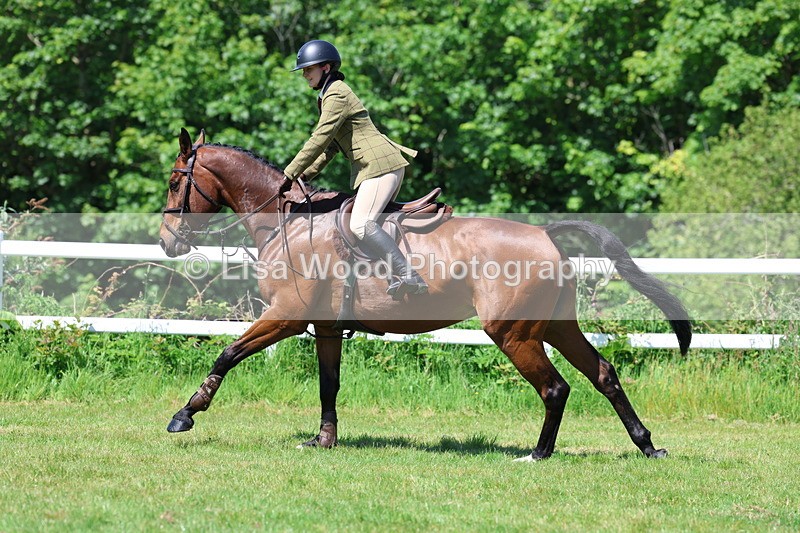 3E7A7103 - Class 30: Novice Working Hunter