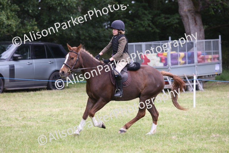 20260614-2753 - Class 22 - Open Working Hunter