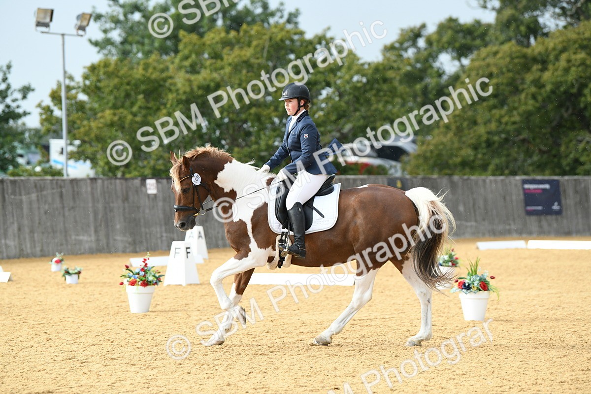 SBM_11080 - D28 Elementary Taster Elementary 42