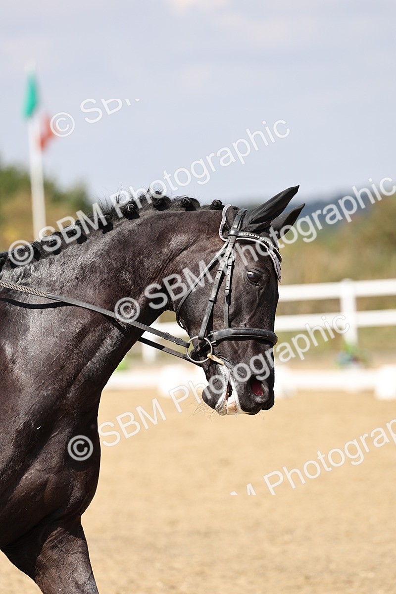 SBM_018690 - Class 16 - Novice 5 - 12.08-13.11