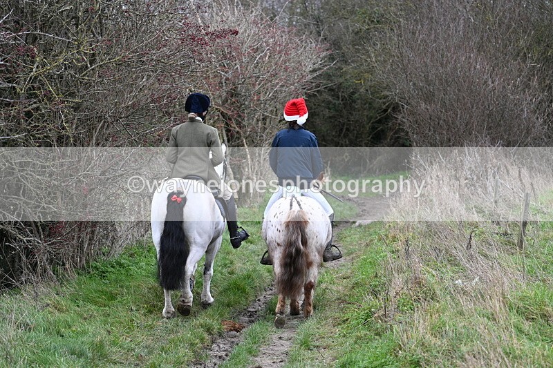 WJ7_0882 - First Seen