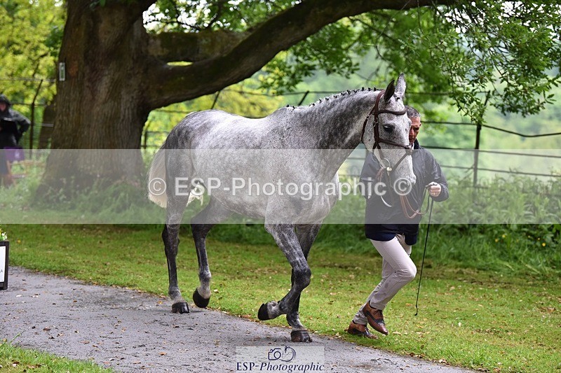 240522-152456-00323 - 354-COOLEY_STIRLING-Andrew_James