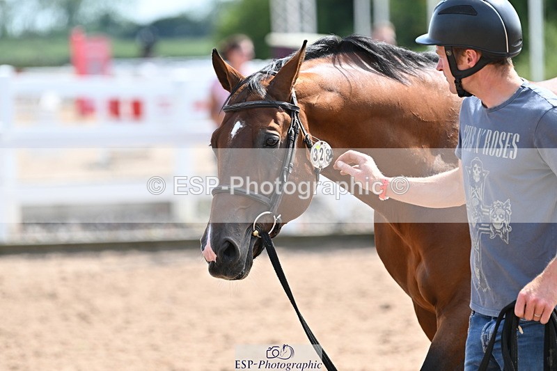 240717A-153029-02854 - Trot Up 3pm to 4pm